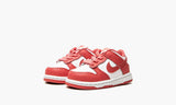 Nike Dunk Low "Archaeo Pink" Toddler TD & Preschool PS - airdrizzykicks.com